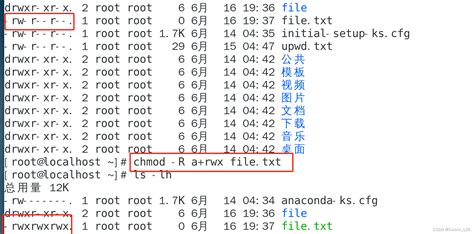 linux 修改文件权限|更改linux文件/目录的权限、拥有者及用户组 .
